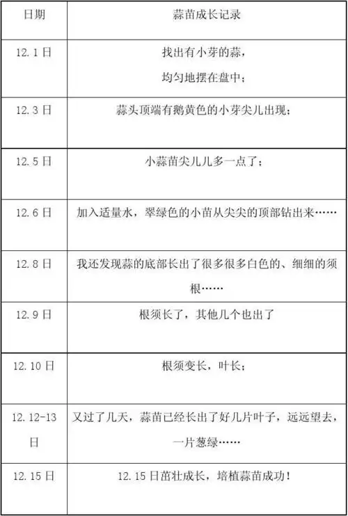 蒜苗成长记录表