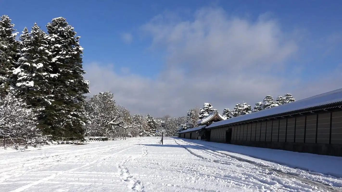 看看风景 大雪纷纷