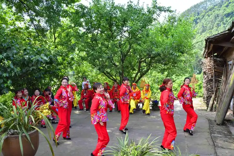 深度融合"脱贫攻坚 乡村振兴" "融"出丹棱农业农村新未来