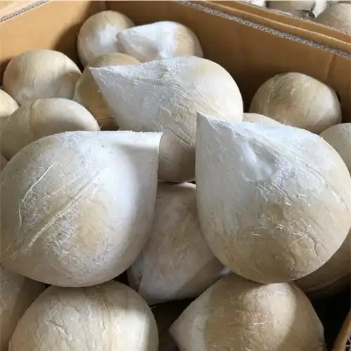 妙芮果园泰国进口牛奶椰皇4个椰子单果300500g