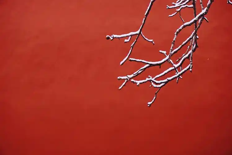 去年的故宫初雪78