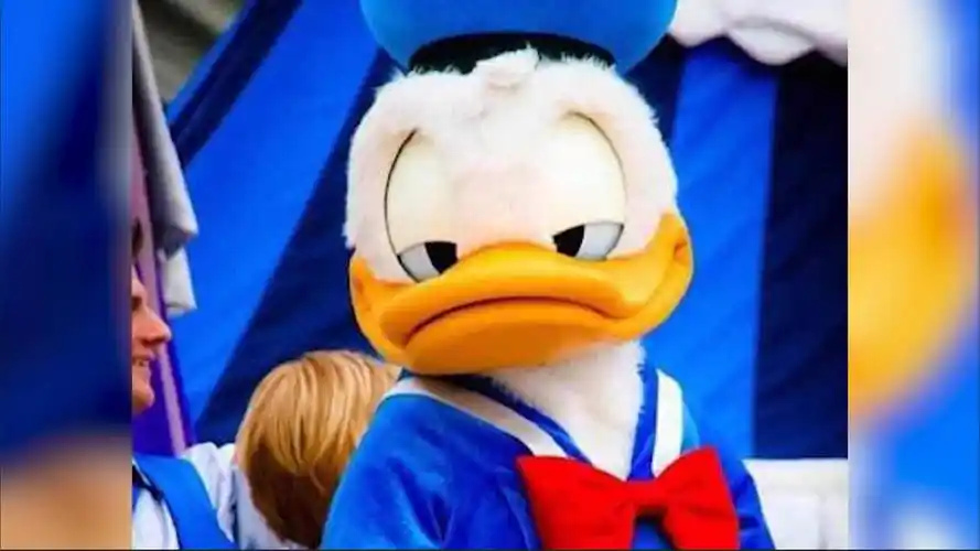 唐老鸭被成功修复,"网友:不知道什么时候能再看到生气鸭