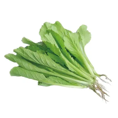 廻乡-有机小芥菜250g/包