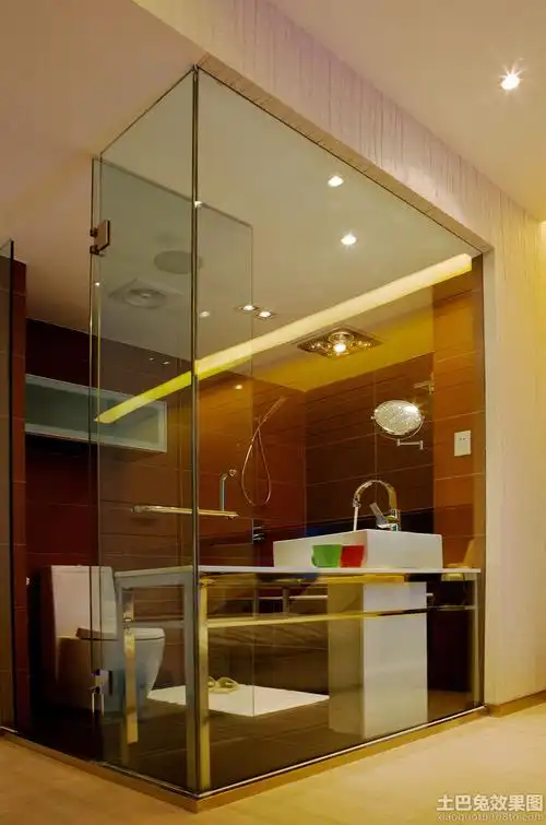 2014卫生间玻璃隔断效果图