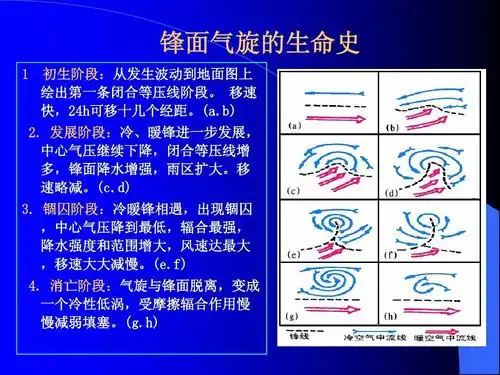 理学 大连海事大学航海气象和海洋学教案(三副)ppt 锋面气旋的生命史