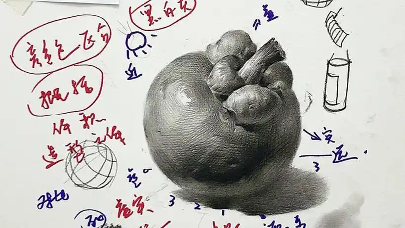 山竹叶子画法#零基础学画画 #零基础学素描 #中考美术