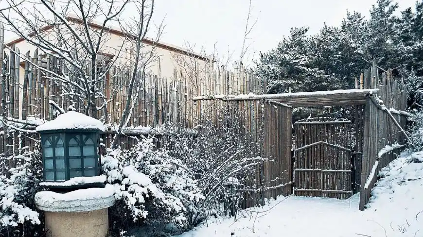 不是没有美,只是缺少发现美的眼睛.