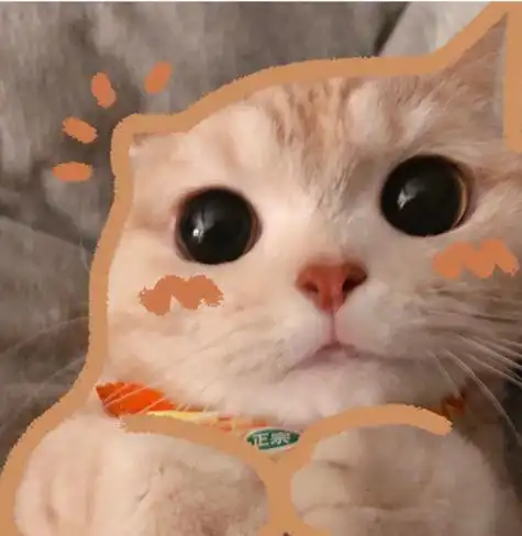 可爱头像萌宠头像猫猫头像橘猫沙莉头像一波
