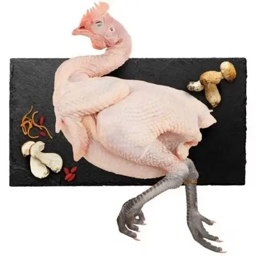 天润食品  散养黑脚土公鸡 2-2.3kg/只