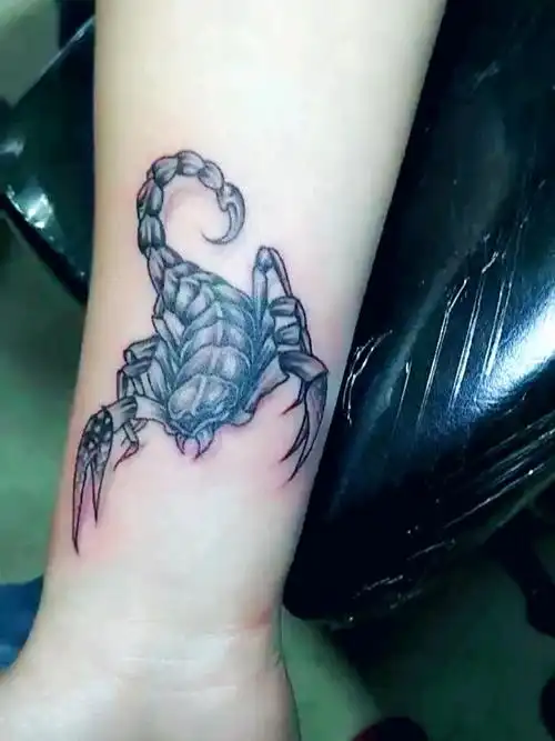 蝎子_纹身图案手稿图片_鹏哥的纹身作品集