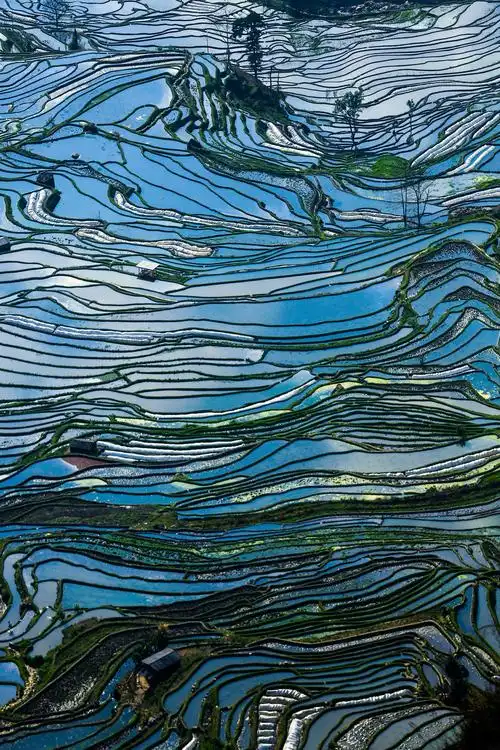 元阳梯田