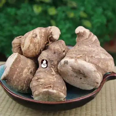 独角莲是什么药材