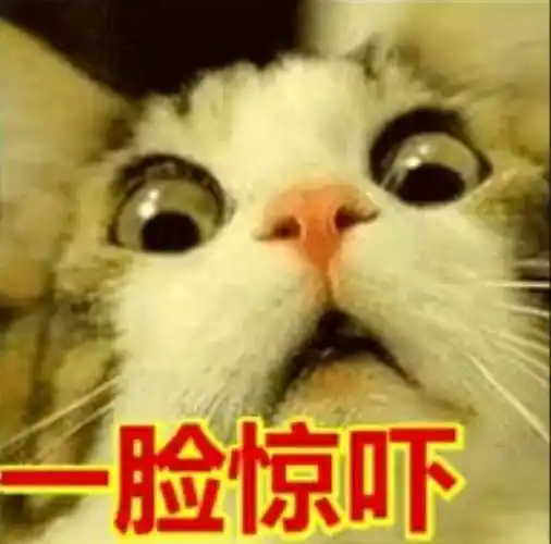一脸惊吓搞笑表情包聊天图片表情