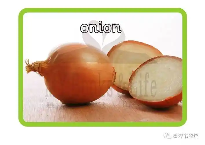 洋葱onion西葫芦marrow生菜lettuce大葱leek芹菜celery胡萝卜carrot