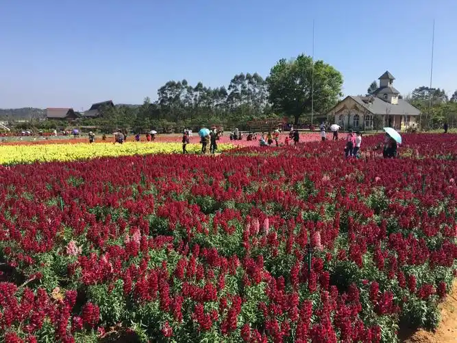 那里花开主题公园
