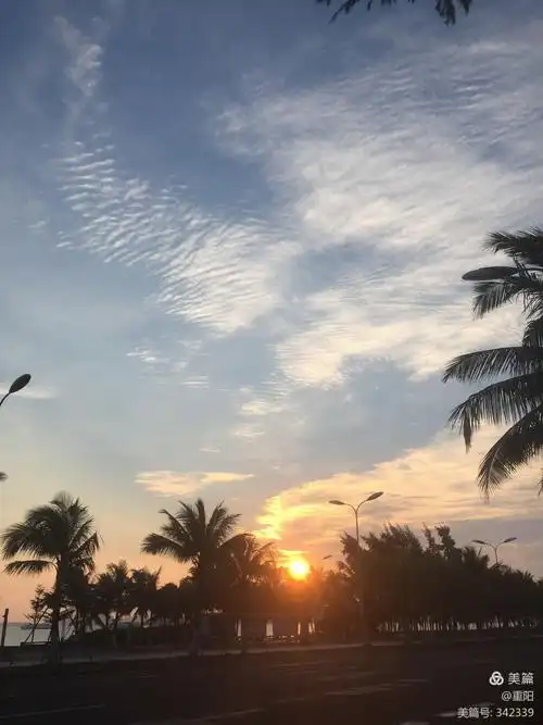 抬头仰望天空晨,朝阳,朝霞,夕阳红,火烧云.还有扎月亮嗲嗲.