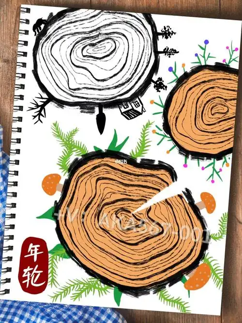 年轮适用年龄5岁线描画