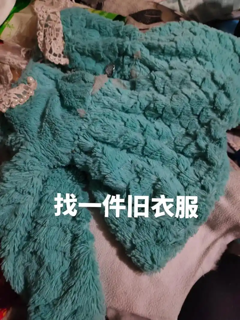 自制的猫咪衣服. - 抖音