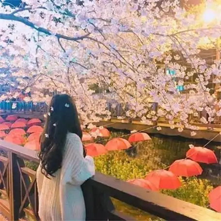 480x480快手头像女背影唯美