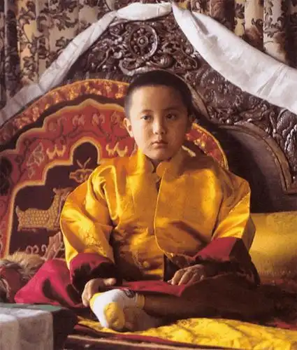 "不太乖"的窦靖童剃发出家做"佛系女孩"?真正的活佛其实是他.