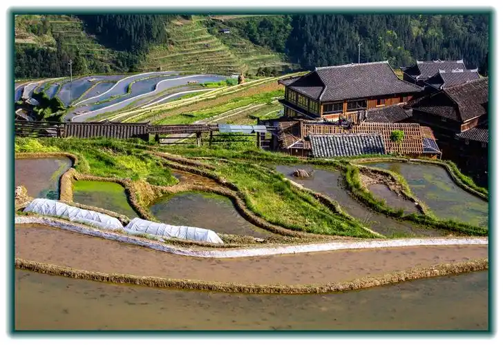 贵州加榜梯田八