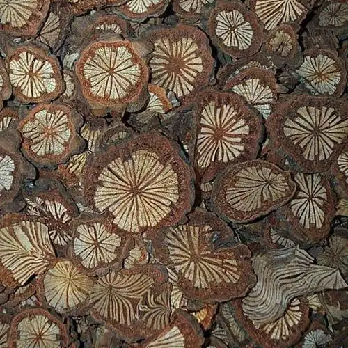 血通(植物)血通,原名:大血藤,血藤,拉丁文名:sarg