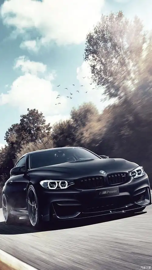 宝马3系论坛_汽车之家论坛