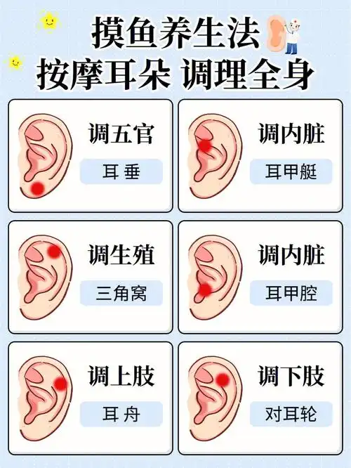 9099耳部按摩法会通过对耳朵不同部位进行摩擦,推揉,捏拉,按压等