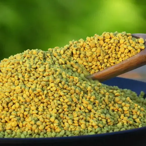 山窝窝油菜花粉新鲜青海天然未破壁品质非蜂花粉片