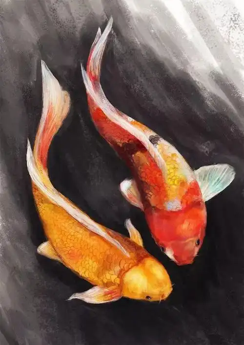 锦鲤图片求好运(锦鲤图片求好运2021)-便利熊