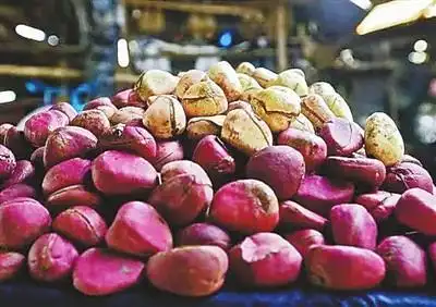 可乐果,尼日尔的快乐果