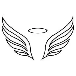 矢量,素描,天使之翼,白色背景,背景_高清图片_全景视觉