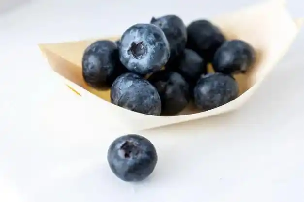 专访sekoya64大颗脆甜蓝莓受青睐着力推动中国种植布局