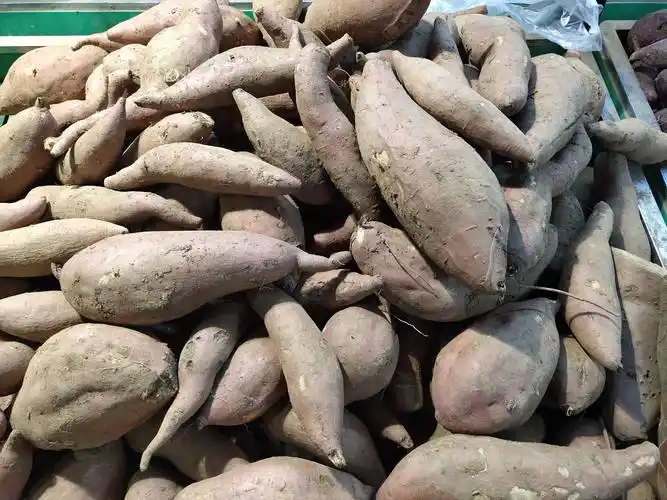 红芋:8毛8一斤.