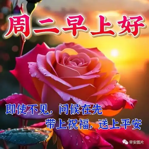 周二愉快!|快乐|清晨|早上好_网易订阅