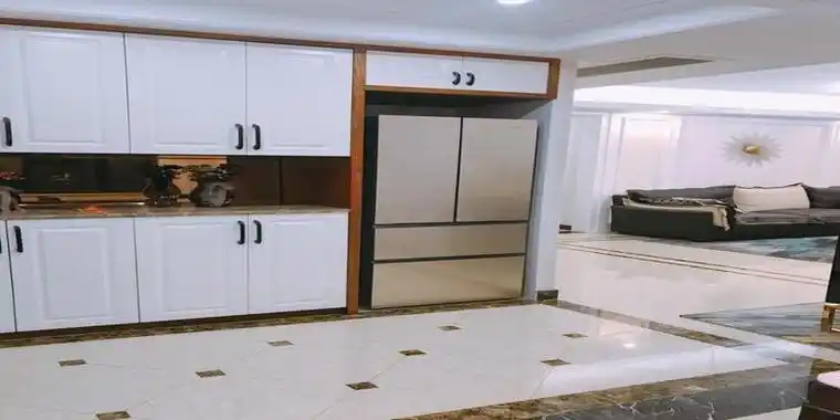 冰箱放在玄关距离房间不会很远还能不占用房间里的空间可以说是一个