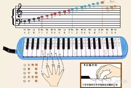 你不知道的口风琴——潍坊高新区(上海)新纪元学校课堂乐器介绍