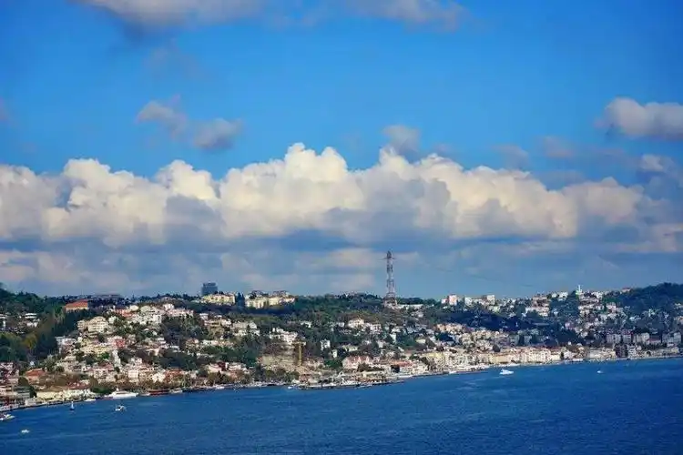 底格里斯河(位于阿拉伯半岛东部的河流))_石塘网