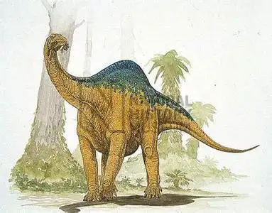数:13604获赞数:257953 向ta提问  展开全部 黑丘龙(melanorosaurus)