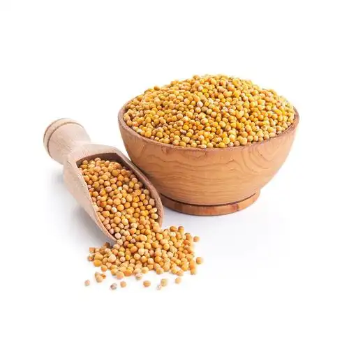 russian wholesale organic mustard seeds yellow - buy mustard