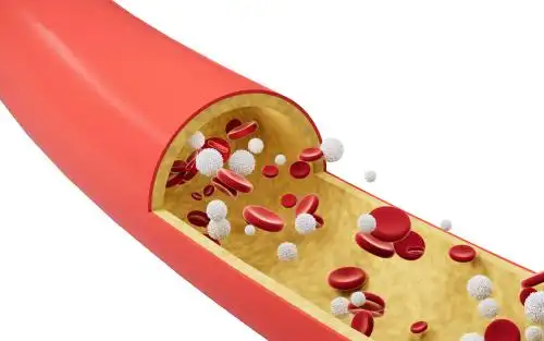 血管中的红细胞和白细胞3d渲染