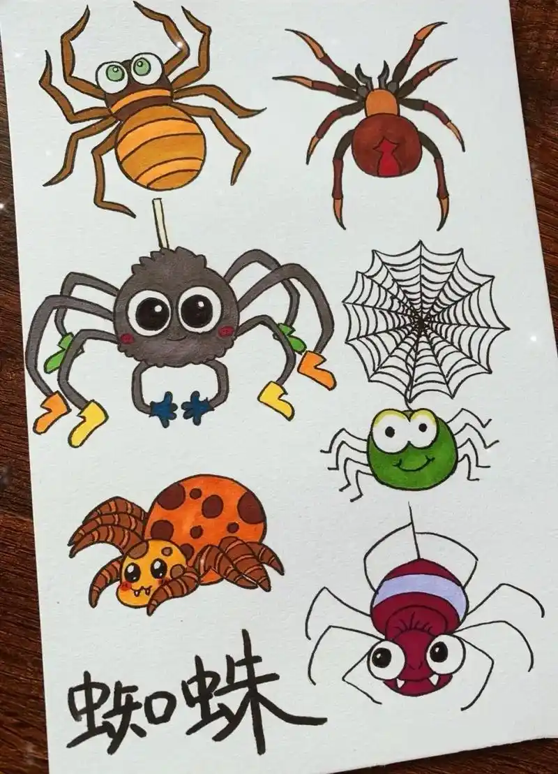 创作灵感 你知道吗?蜘蛛不属于昆虫哦,蜘蛛 - 抖音