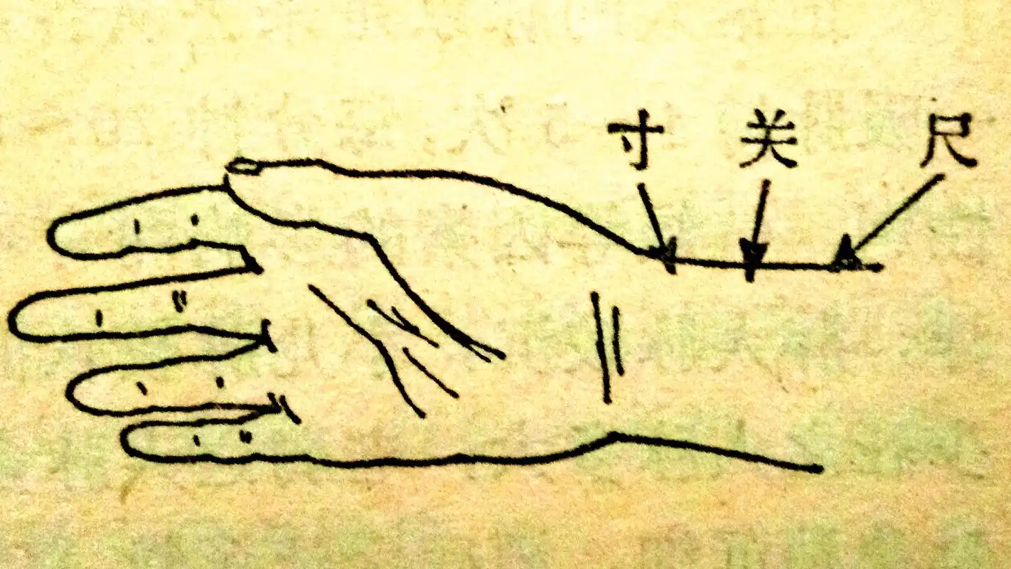 诊脉基本功(一)——指法的正确运用