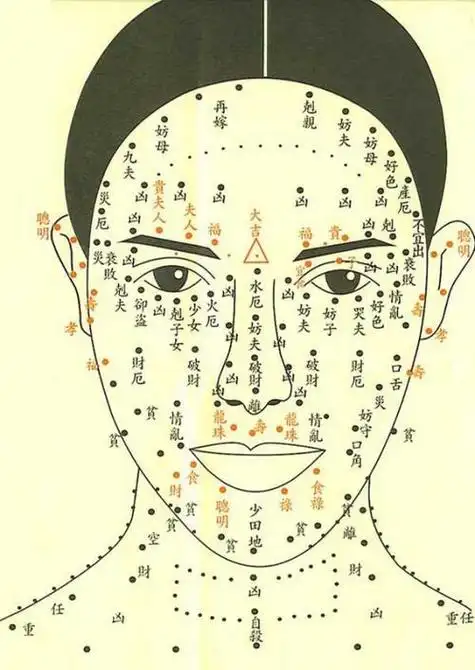 痣的位置脸痣长在脸上哪个部位好图解