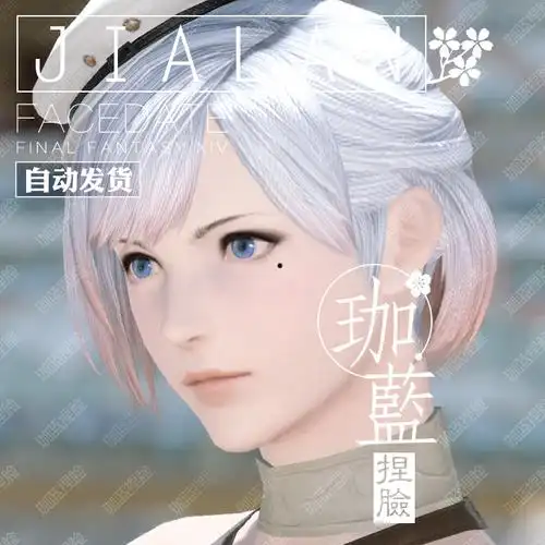 珈蓝最终幻想ff14捏脸数据脸型族人类人平原莉莎其它设计服务