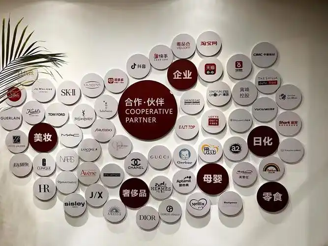 网站建设合作品牌_(项目合作网站建设方案)