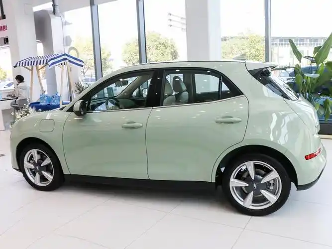 欧拉好猫电动小钢炮优惠抢购