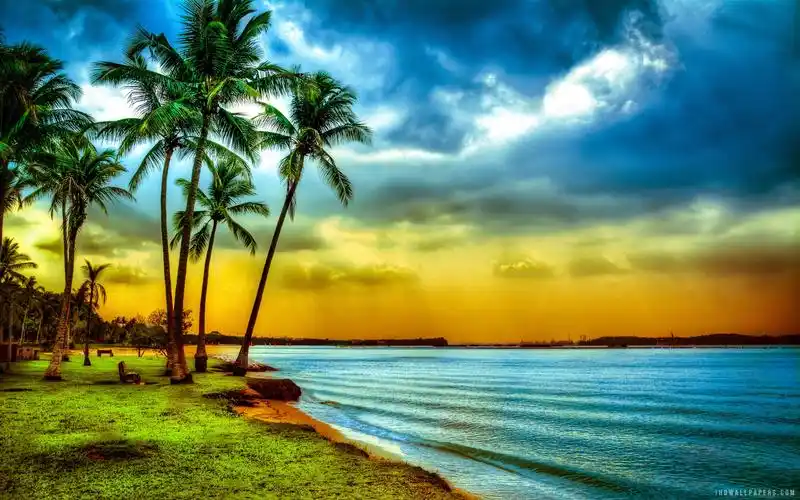 巴西里斯海滩壁纸800x600分辨率查看