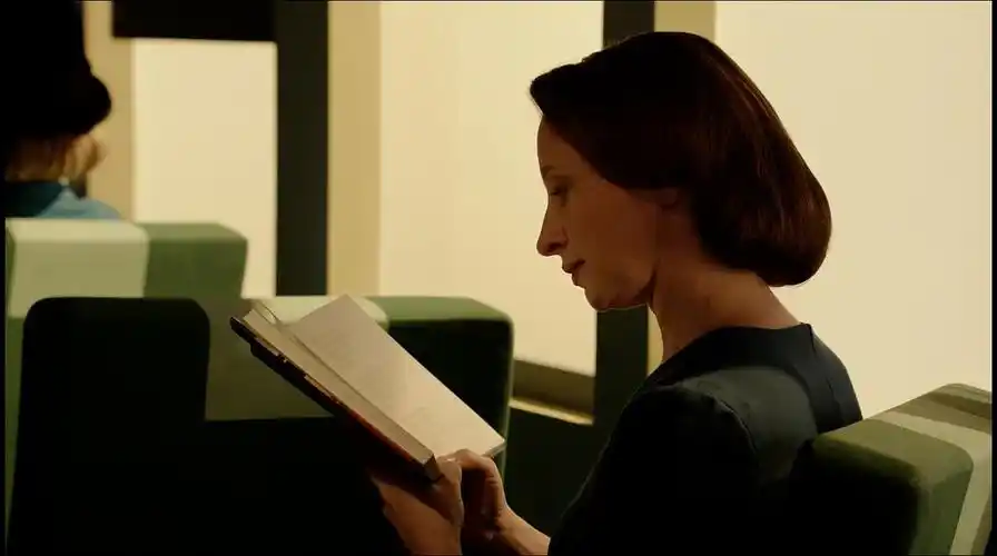 雪莉:现实的愿景