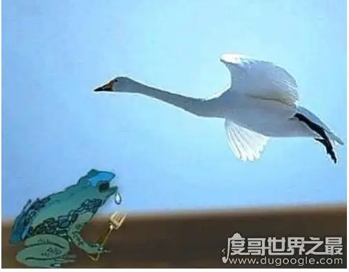 癞蛤蟆想吃天鹅肉照片大全赶紧收藏起来拿去斗图吧